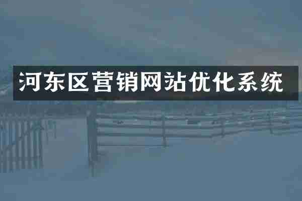 河东区营销网站优化系统