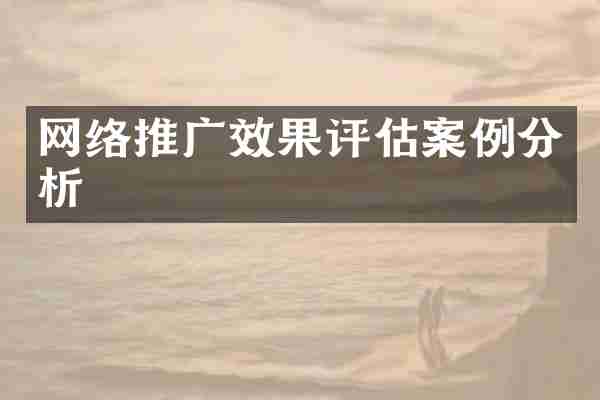 网络推广效果评估案例分析