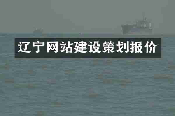 辽宁网站建设策划报价