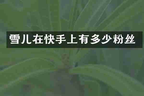雪儿在快手上有多少粉丝