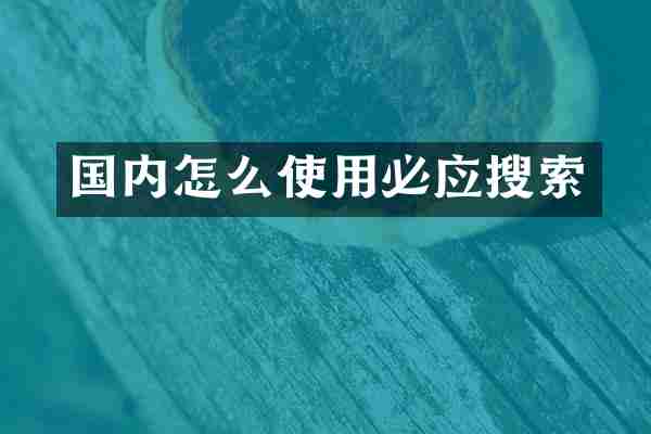 国内怎么使用必应搜索