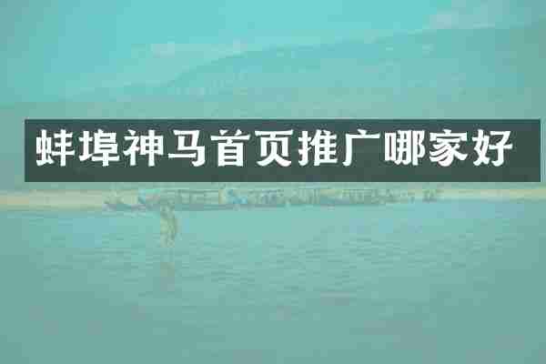 蚌埠神马首页推广哪家好