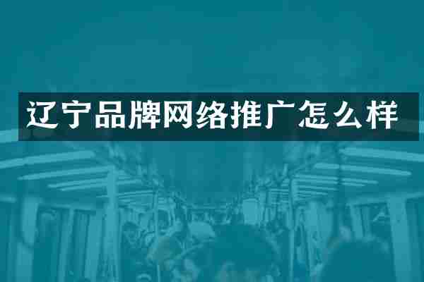 辽宁品牌网络推广怎么样