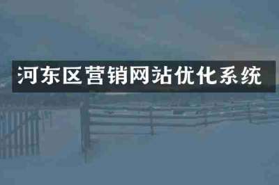 河东区营销网站优化系统