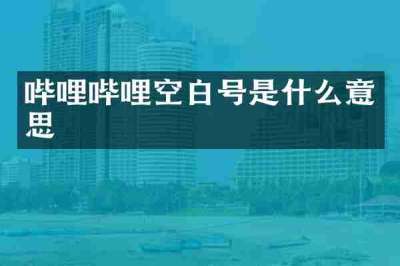 哔哩哔哩空白号是什么意思