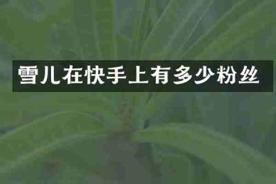 雪儿在快手上有多少粉丝