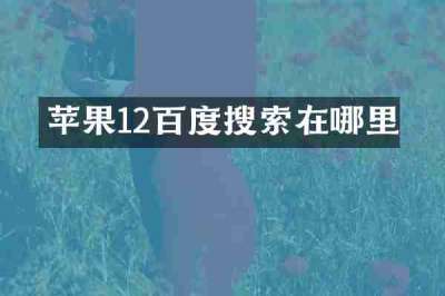 苹果12百度搜索在哪里