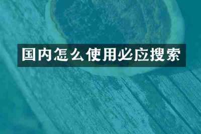 国内怎么使用必应搜索