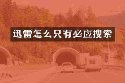 迅雷怎么只有必应搜索