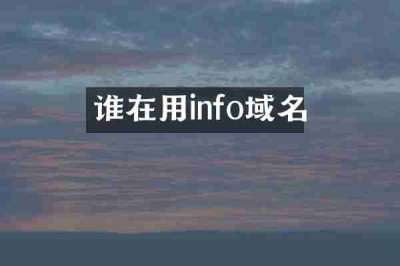 谁在用info域名