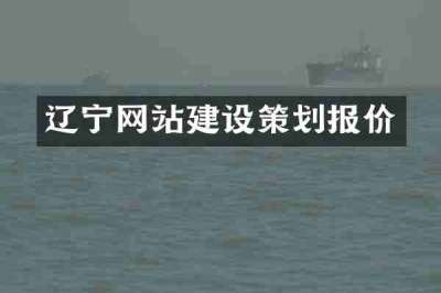 辽宁网站建设策划报价