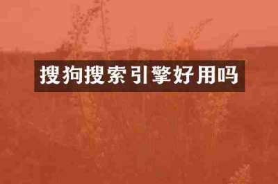 搜狗搜索引擎好用吗