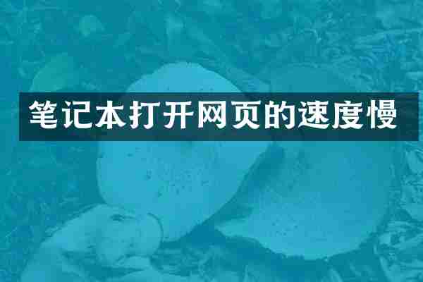 笔记本打开网页的速度慢