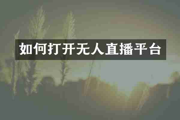 如何打开无人直播平台