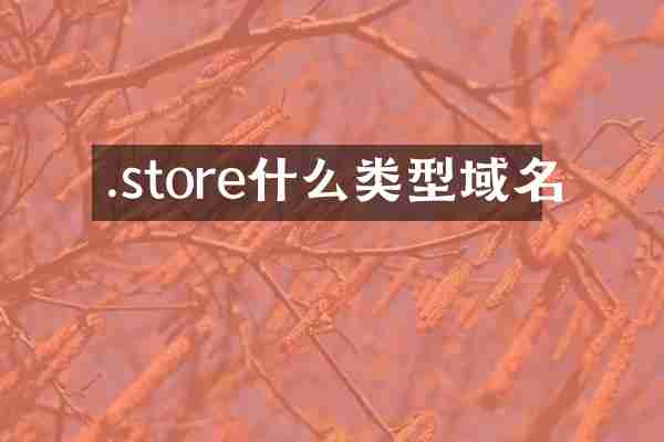 .store什么类型域名