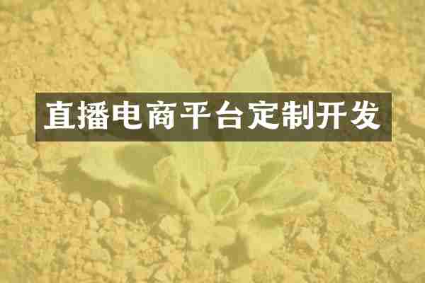 直播电商平台定制开发