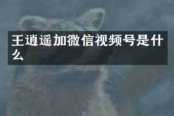 王逍遥加微信视频号是什么