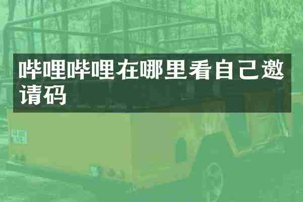 哔哩哔哩在哪里看自己邀请码