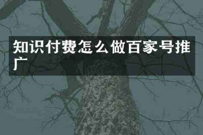 知识付费怎么做百家号推广