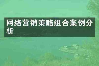 网络营销策略组合案例分析