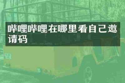 哔哩哔哩在哪里看自己邀请码
