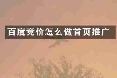 百度竞价怎么做首页推广