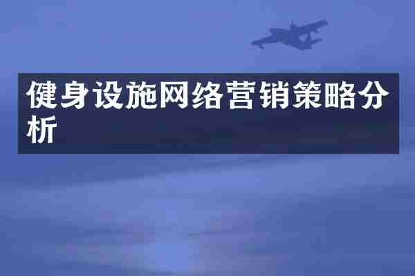 健身设施网络营销策略分析