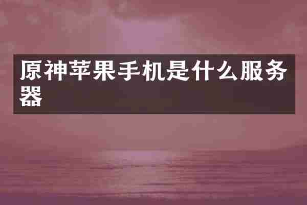 原神苹果手机是什么服务器