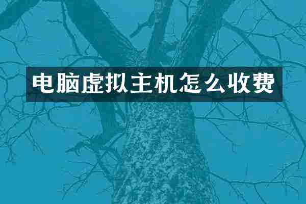 电脑虚拟主机怎么收费