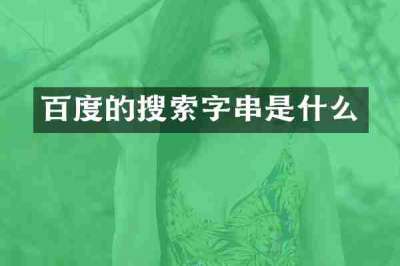 百度的搜索字串是什么