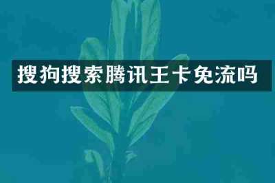 搜狗搜索腾讯王卡免流吗