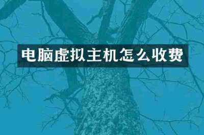电脑虚拟主机怎么收费