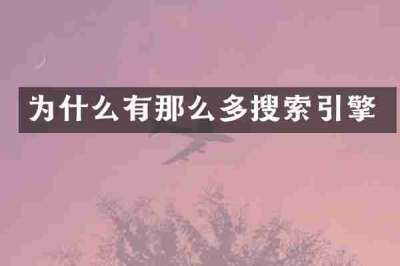 为什么有那么多搜索引擎