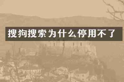 搜狗搜索为什么停用不了