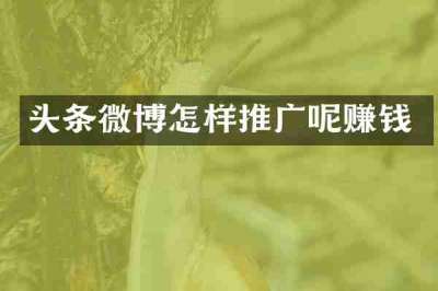 头条微博怎样推广呢赚钱