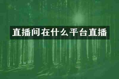 直播间在什么平台直播