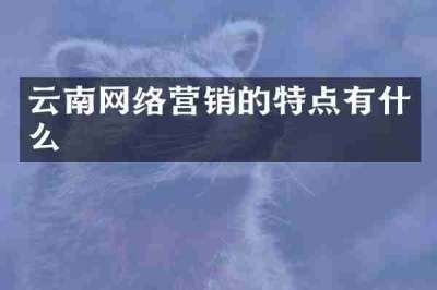 云南网络营销的特点有什么