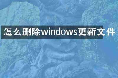 怎么删除windows更新文件