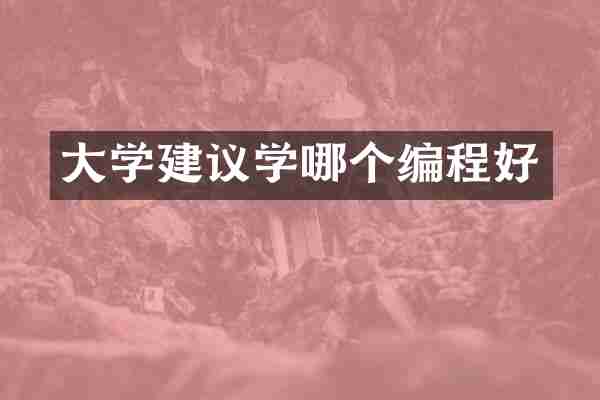 大学建议学哪个编程好