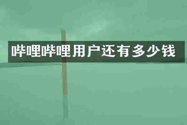 哔哩哔哩用户还有多少钱
