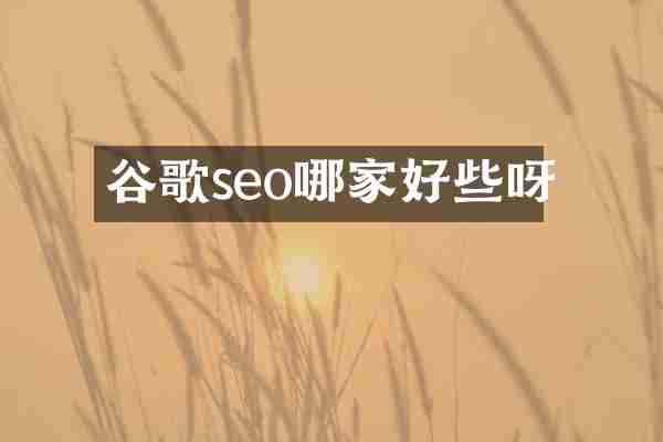 谷歌seo哪家好些呀