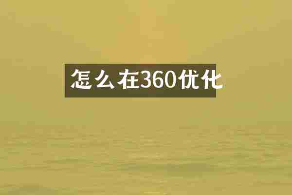 怎么在360优化