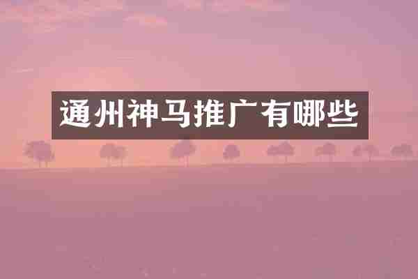 通州神马推广有哪些