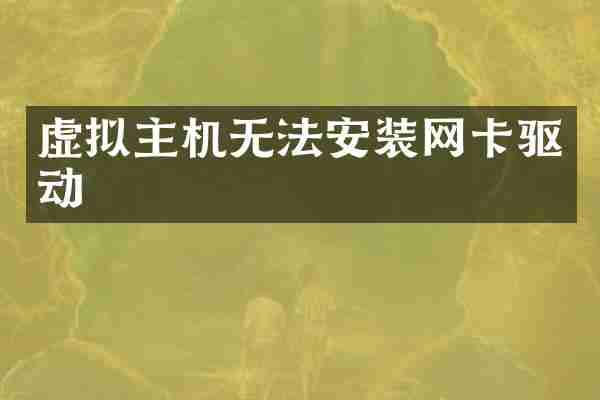 虚拟主机无法安装网卡驱动