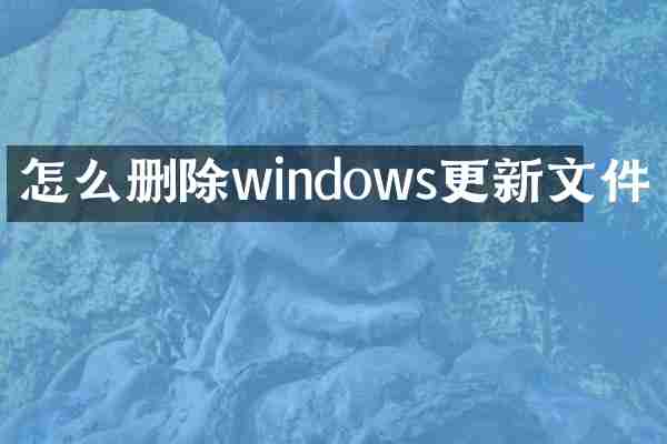 怎么删除windows更新文件