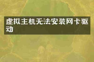 虚拟主机无法安装网卡驱动