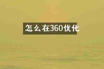 怎么在360优化