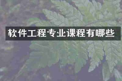 软件工程专业课程有哪些