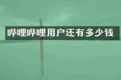 哔哩哔哩用户还有多少钱