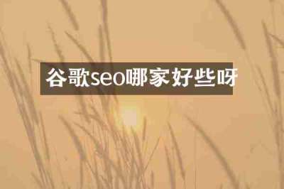 谷歌seo哪家好些呀